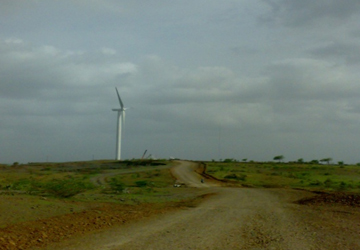 windmills-04